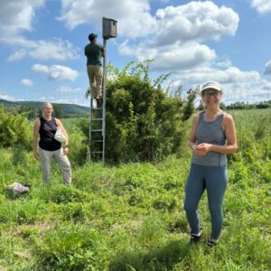 Bird Walk with Deb DeSalvo!