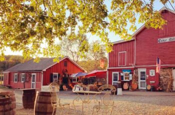 Hacklebarney Farm