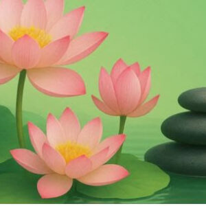 Morning Meditation with Kimberly