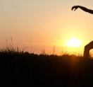 Tai Chi Chi Session