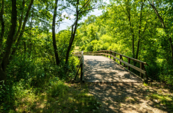 $88 Million Approved for Land Preservation, Parks, and More!