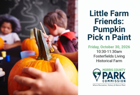 Little Farm Friends Pumpkin Pick n Paint