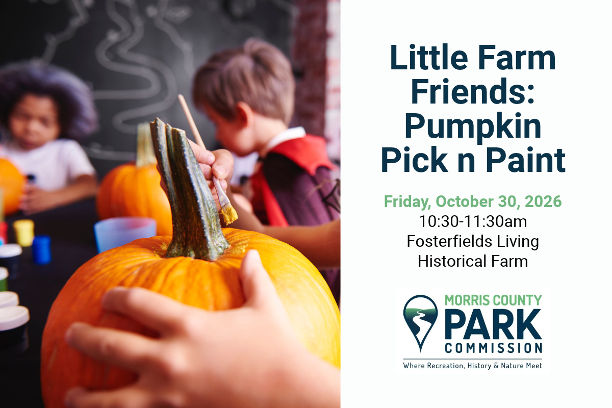 Little Farm Friends Pumpkin Pick n Paint